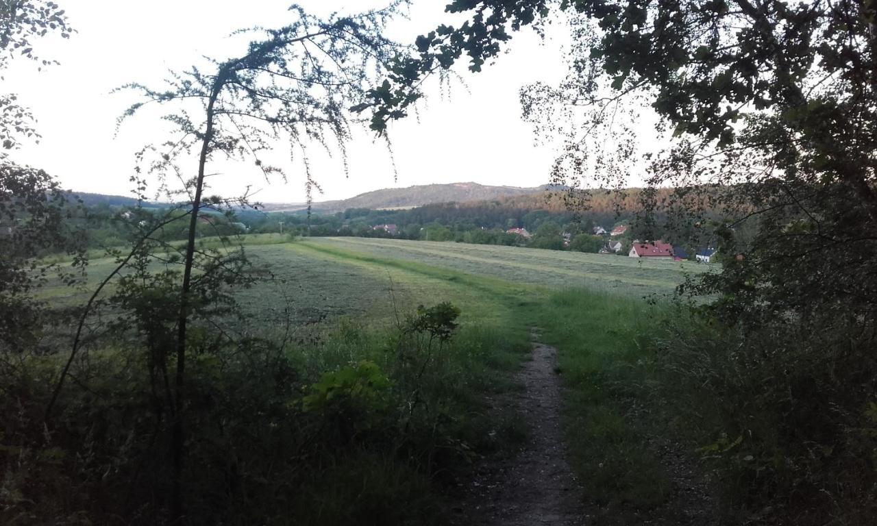 Male Utulne Studio S Koupelnou A Kuchynkou Svinarov エクステリア 写真